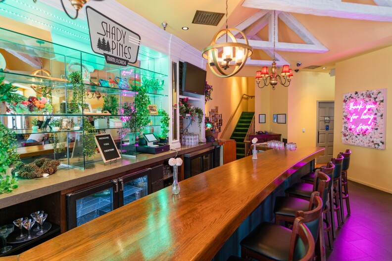 A line of brown seats in front of a bar, with additional green upholstery. A sign reads "SHADY PINES, MIAMI, FLORIDA" with a logo of three pine trees near one another. Shelves covered with plants are in the background, as well as a large television hanging on the wall.