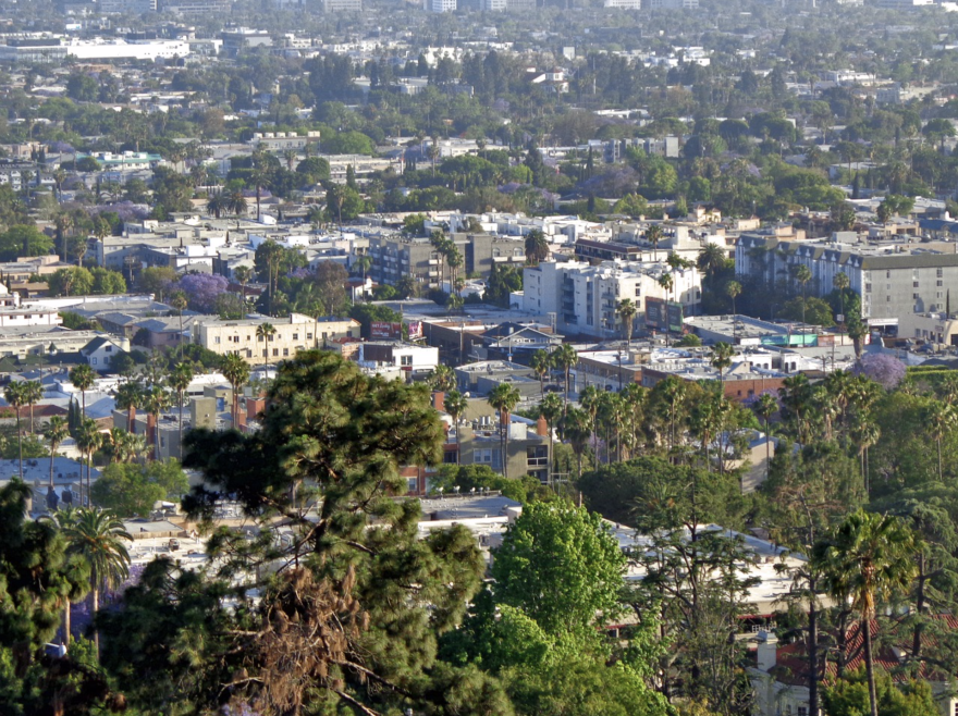 More than a million trees makes up Los Angeles's urban forest.