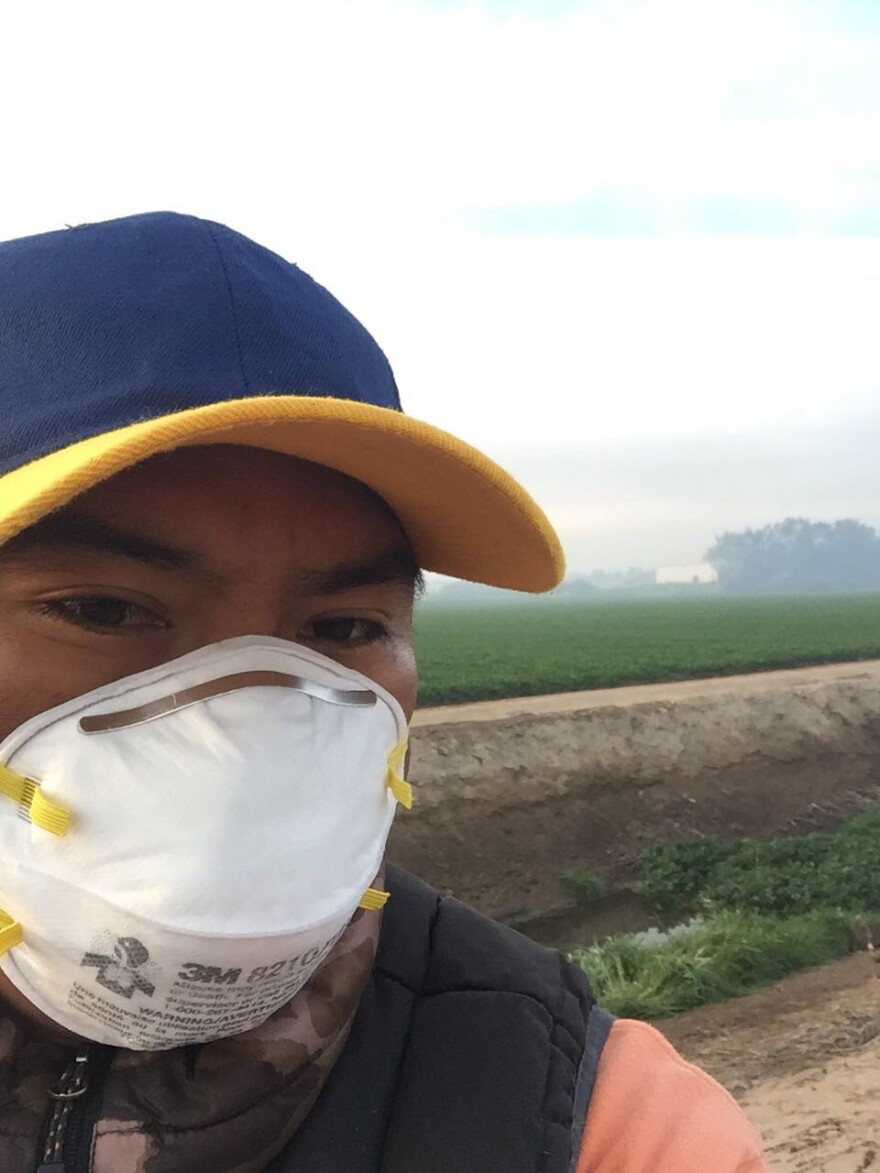 Farm worker Amadeo Sumano takes a photo of himself in Oxnard strawberry fields during the Thomas Fire. Sumano said he was lucky to get a mask but knows of workers employed by other growers who did not receive them.