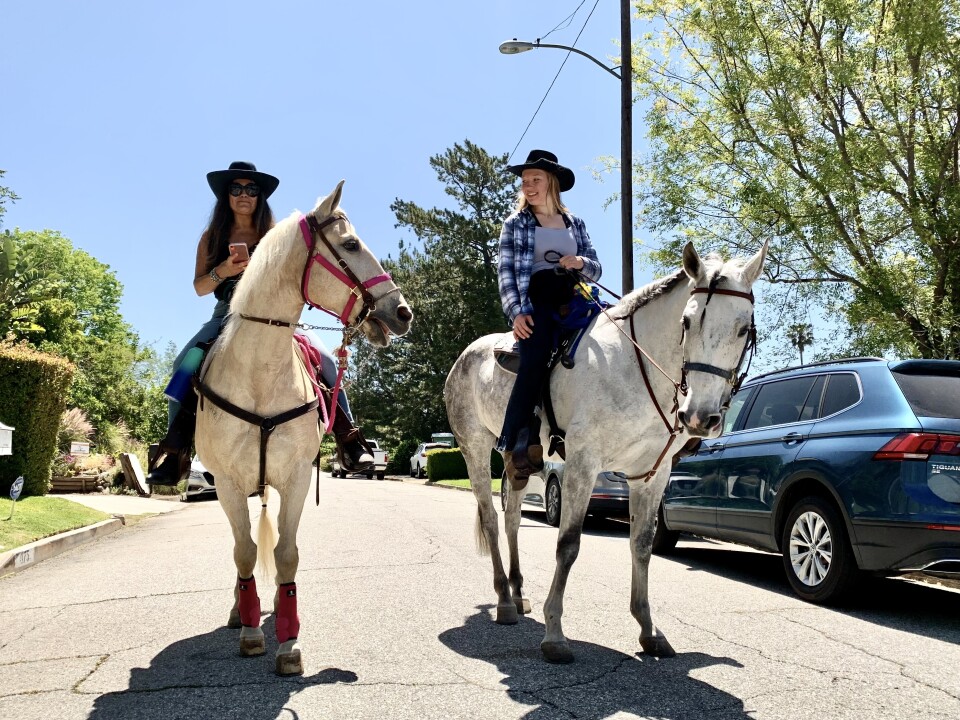 Two women ride horses down a residential street with cars parked on the side.