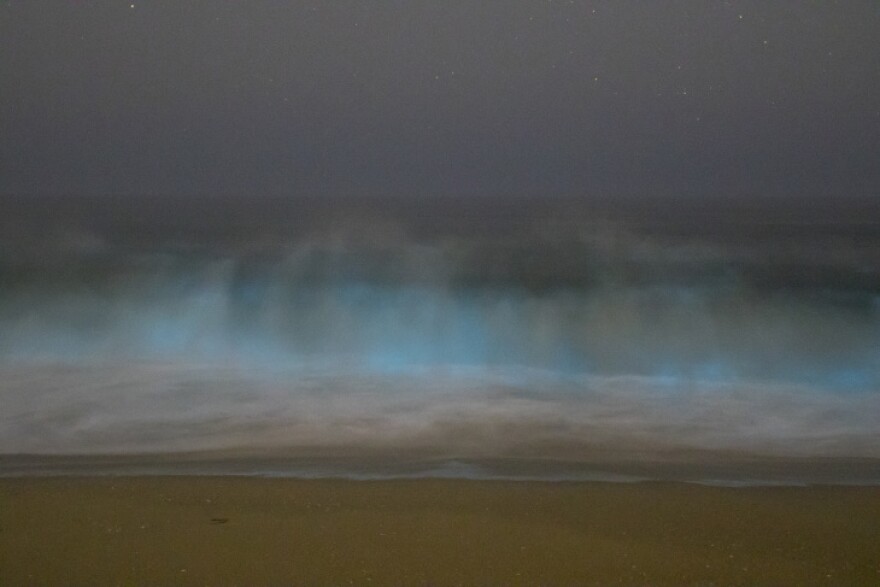 A spray of light blue rolls to shore from the ocean