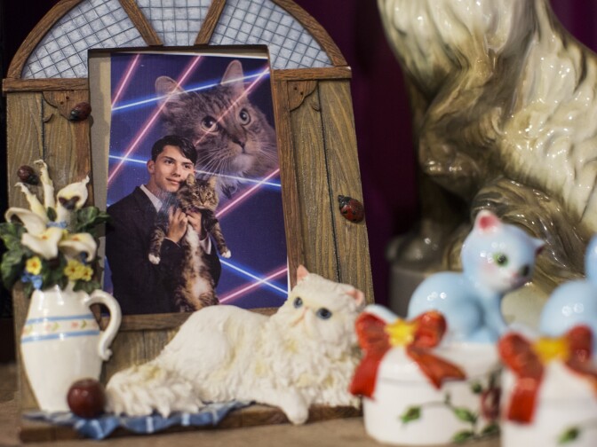 The “Crazy Cat Ladies” exhibit opened in October and will be on view until November 27 at The Animal Museum in the Arts District.