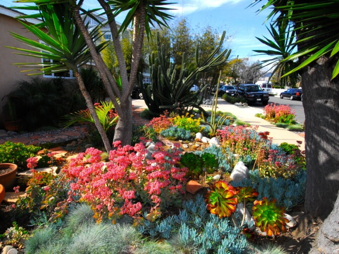Mar Vista's annual green garden showcase promotes the kind of landscaping that the LADWP's lawn-removal program does. 
