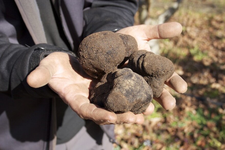 truffles.jpg