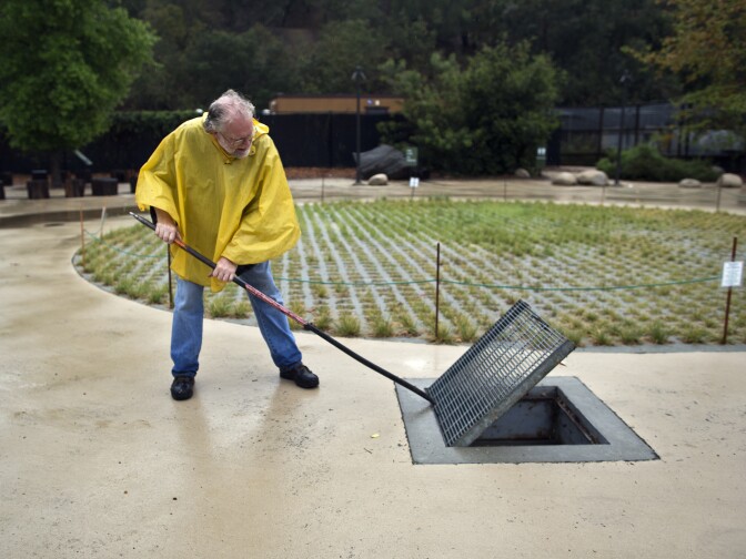 Jim Hardie, director of park operations for Tree People, opens a drain cover that leads to the park's cistern on Friday, Feb. 28. After this weeks' rain, the eight-foot deep tank is filled to about three feet.
