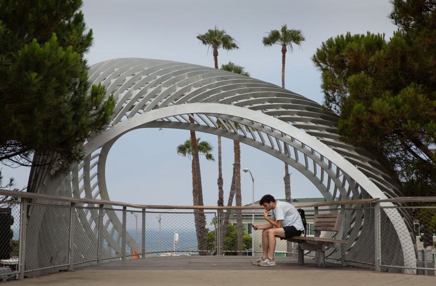 A park with green grass and a variety of trees in the background including palm and pine. The sky is clear and blue. There is a wooden plank fence in the foreground.