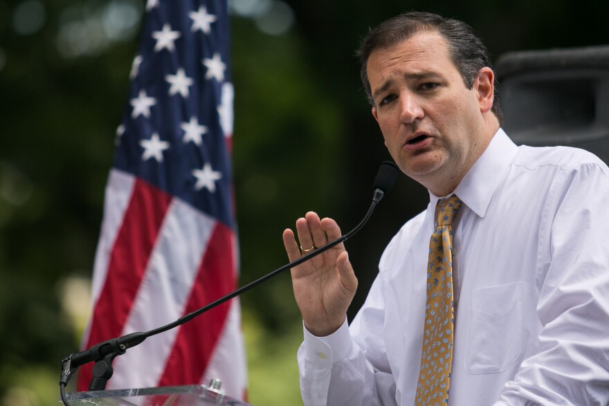 WASHINGTON, DC - JULY 15: Sen. Ted Cruz (R-TX) speaks about immigration during the DC March for Jobs in Upper Senate Park near Capitol Hill, on July 15, 2013 in Washington, DC. Conservative activists and supporters rallied against the Senate's immigration legislation and the impact illegal immigration has on reduced wages and employment opportunities for some Americans. (Photo by Drew Angerer/Getty Images)