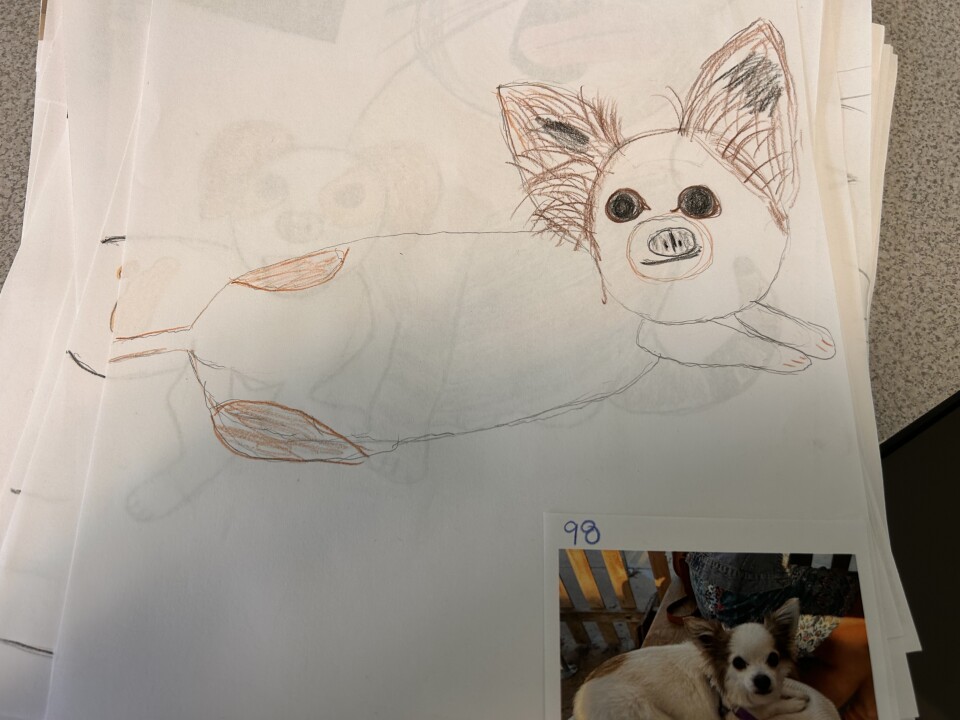 A hand drawn picture of a dog laying down with some pig-like features, including a round nose. The real picture of the brown and white dog is stapled to the bottom right corner of the paper.