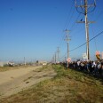 A crowd of people march down a sidewalk holding signs that say "ICE OUT!" to the left is a sparse, grassy field and concrete divider in that field. In the left corner, there's a one-story white building and telephone poles in the distance.
