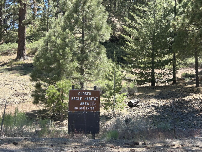 A brown and white sign that says "closed eagle habitat area do not enter" is placed on the side of the road in a wilderness area.