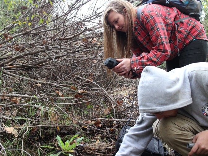 Kyle Troy and an AmeriCorps volunteer check the oxygen level of a creek in the Santa Monica Mountains. They're checking the water's viability for invasive crayfish. 
