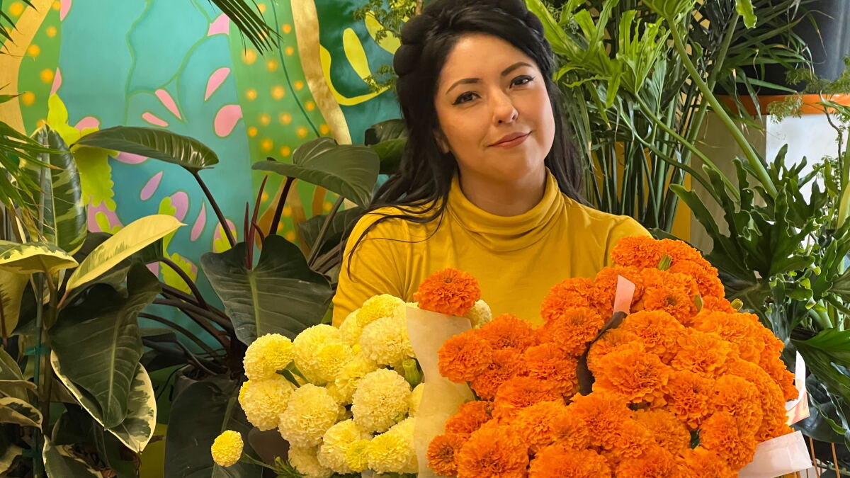 For the Love Of Cempasúchil (AKA Marigolds) - Vimarsana News