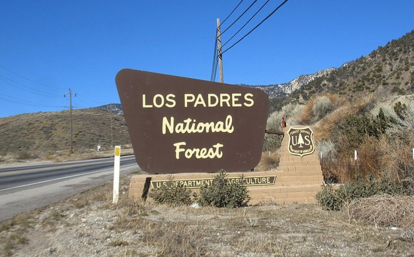 lospadresnatlforest.jpg