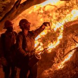 ARCADIA, CA - SEPTEMBER 13: Mill Creek Hotshots set a backfire to protect homes during the Bobcat Fire on September 13, 2020 in Arcadia, California. California wildfires that have already incinerated a record 2.3 million acres this year and are expected to continue till December. The Bobcat Fire, burning in the San Gabriel Mountains, has grown to about 32,000 acres and is only 6% contained.  (Photo by David McNew/Getty Images)