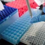 A researcher at Peking University's Beijing Advanced Innovation Center for Genomics conducting tests at their laboratory, Thursday, May 14, 2020.