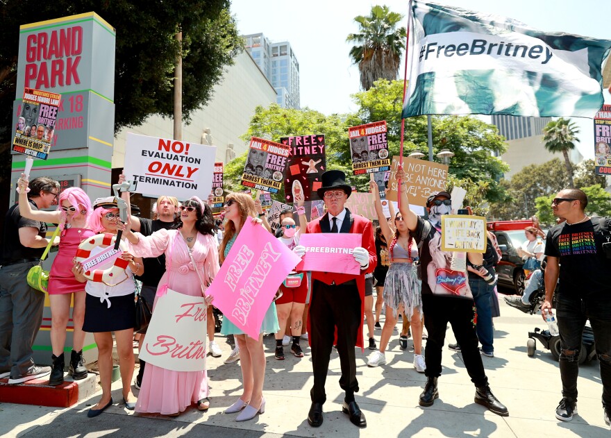 Protesters standing near one of the signs for Grand Park in downtown LA carry posters and banners supporting the pop star Britney Spears.