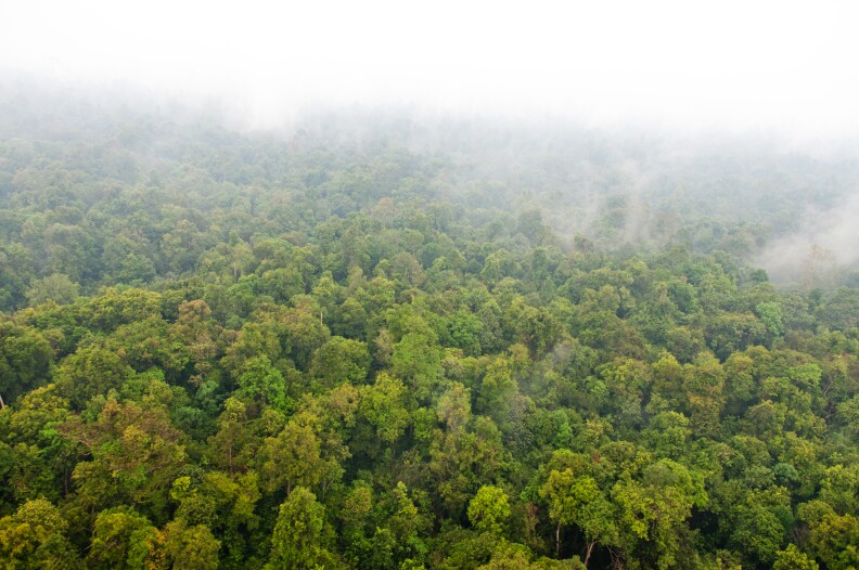 Haze from the forest fires blanket most parts of the landscape. The rainfall during the flight also contributed to the limited visibility.