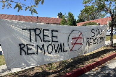 A white banner reads TREE REMOVAL does not equal SOIL REMEDIATION