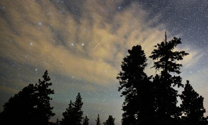 SPRING MOUNTAINS NATIONAL RECREATION AREA, NV - AUGUST 13:  A Perseid meteor streaks across the sky above desert pine trees on August 13, 2015 in the Spring Mountains National Recreation Area, Nevada. The annual display, known as the Perseid shower because the meteors appear to radiate from the constellation Perseus in the northeastern sky, is a result of Earth's orbit passing through debris from the comet Swift-Tuttle.  (Photo by Ethan Miller/Getty Images)