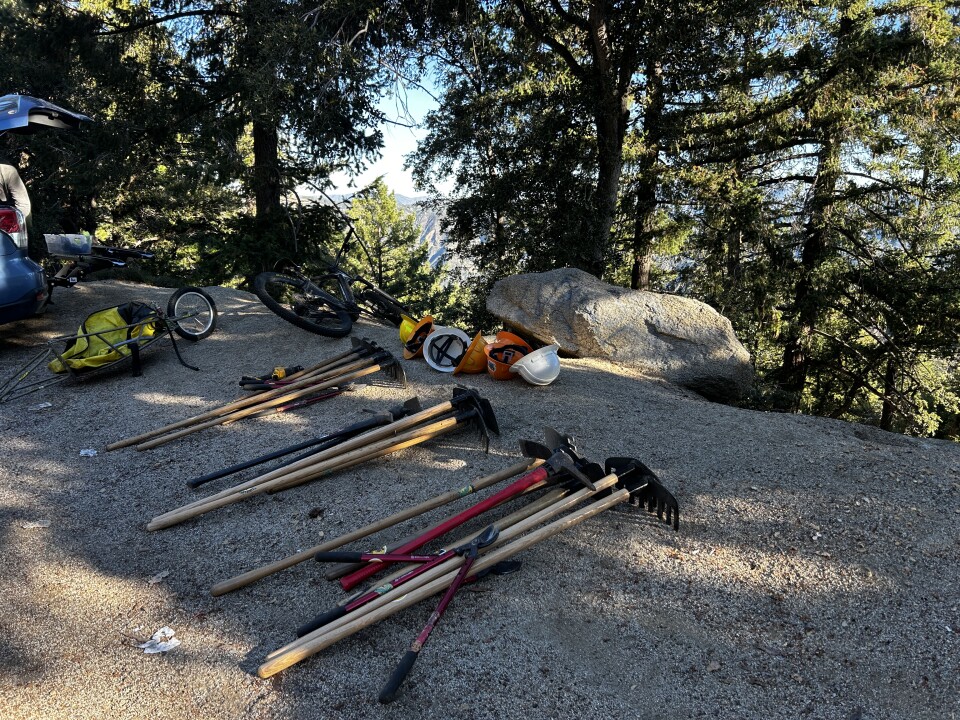 McLeod tools on the ground with pine trees in the background. 