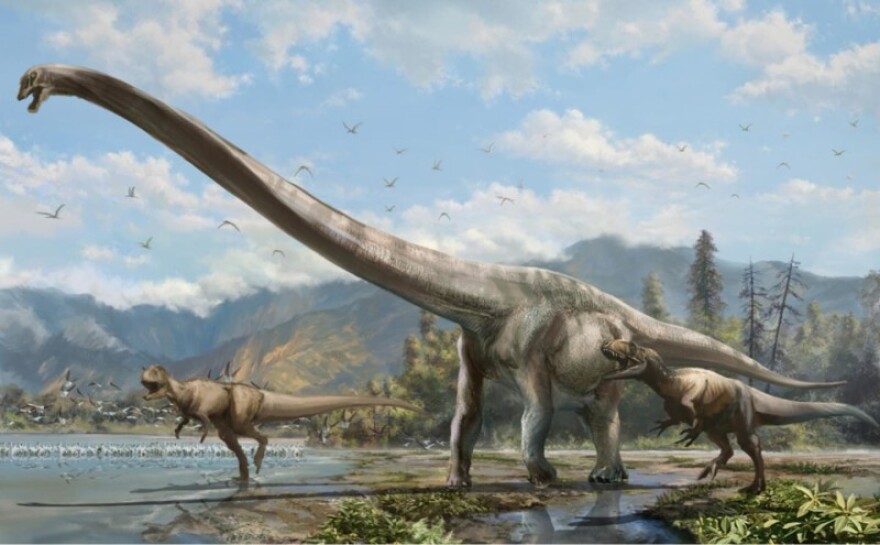 This illustration shows what the newly discovered long-necked dinosaur may have looked like.