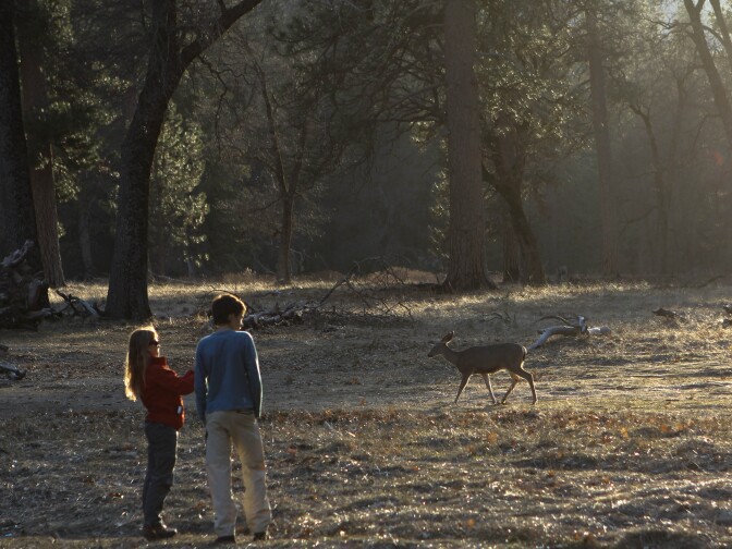 Conservation issues in Yosemite National Park.