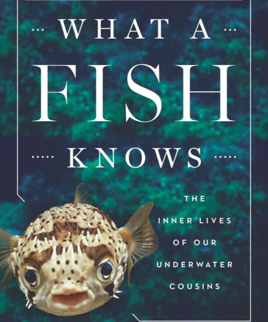 'What a Fish Knows: The Inner Lives of our Underwater Cousins" book cover.