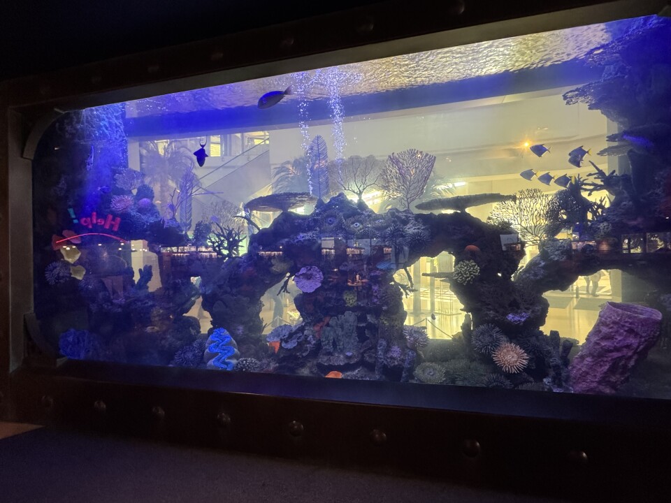 A huge indoor fish tank with coral reefs, fish and other sea creatures.