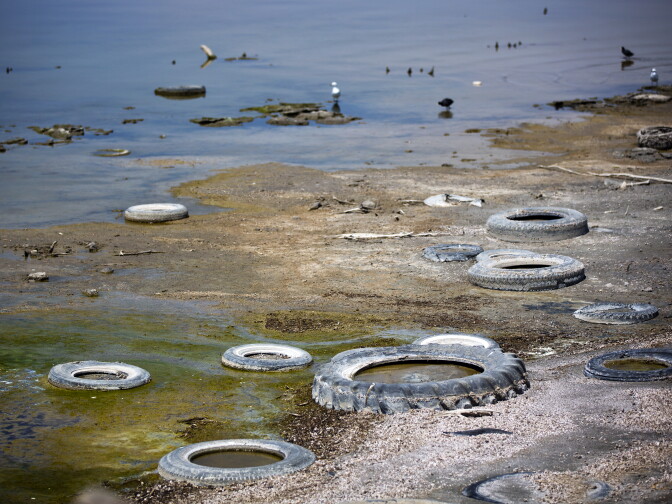 Tires line the edge of the Salton Sea where seagulls and California brown pelicans spend their time.