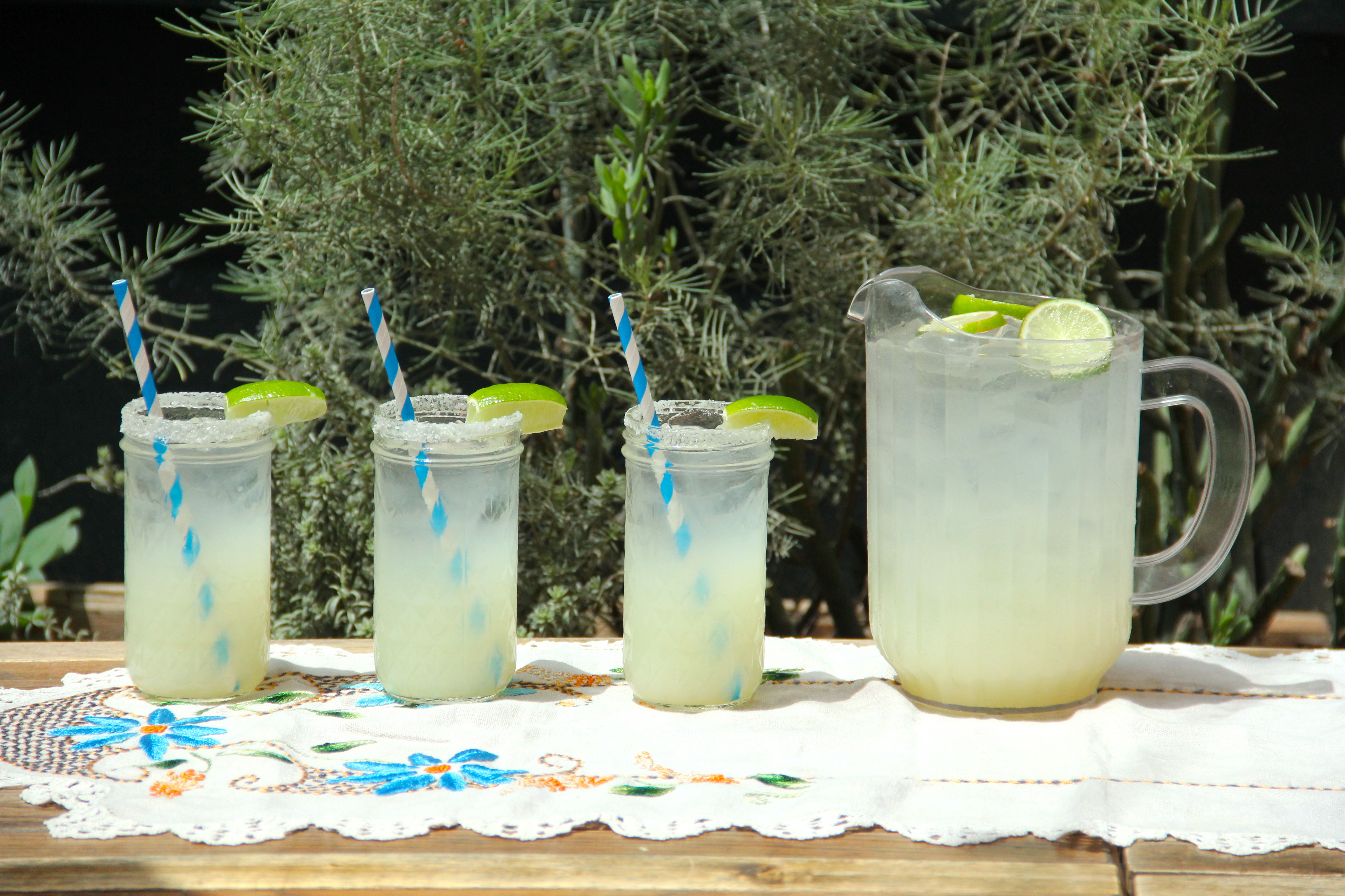 soy　SUNSEA CUT OFF NORMANDIE MULE soy SUNSEA CUT OFF NORMANDIE MULE soy SUNSEA CUT OFF