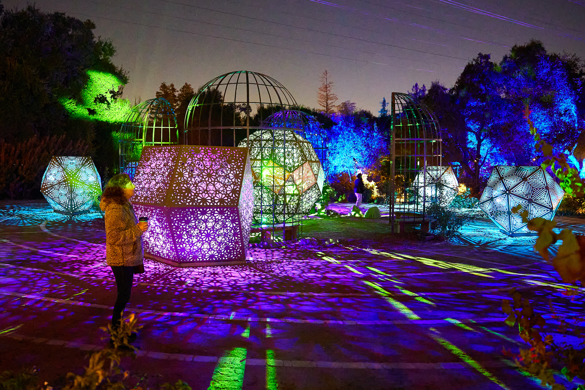 Enchanted Forest of Light | LAist